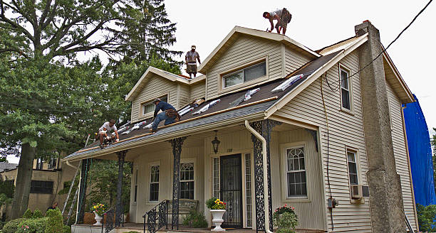 Best Metal Roofing Contractor  in Cusseta, GA