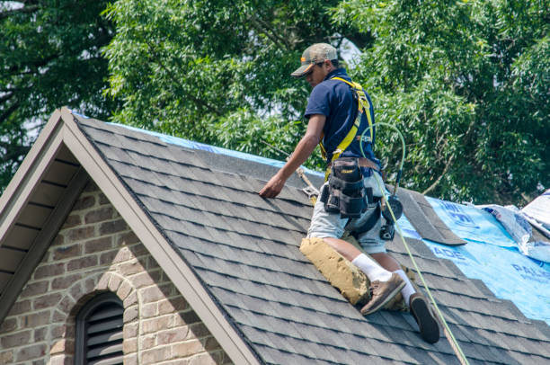 Best Roof Waterproofing Services  in Cusseta, GA